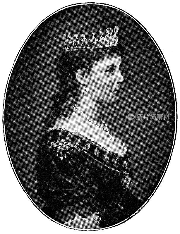 奥地利的玛丽·亨利埃特，比利时的王后- 19世纪